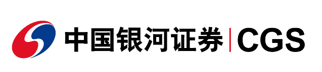 Partner 5